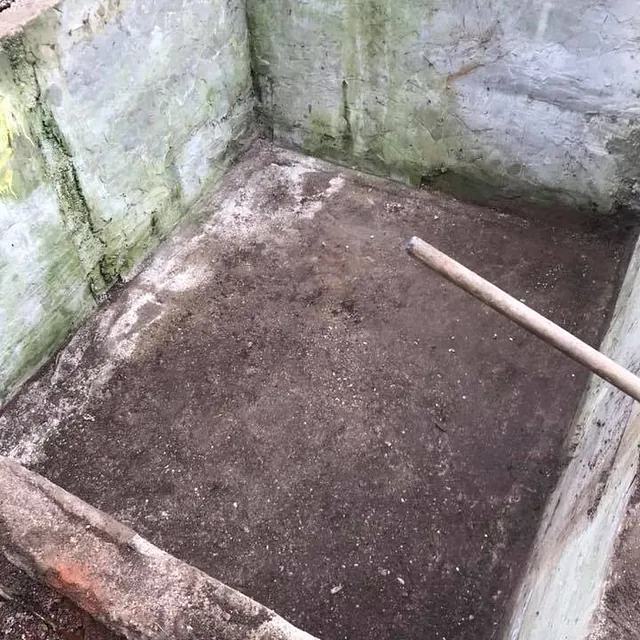Waste Removal Services